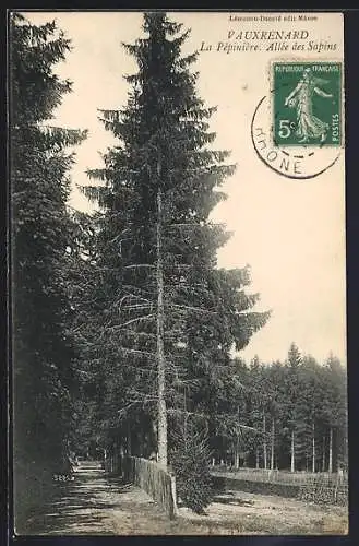 AK Vauxrenard, La Pépinière. Allée des Sapins