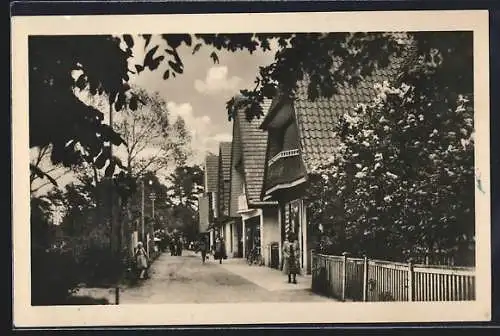 AK Boltenhagen, Blick in die Mittelpromenade