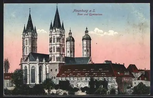 AK Naumburg / Saale, Dom und Gymnasium