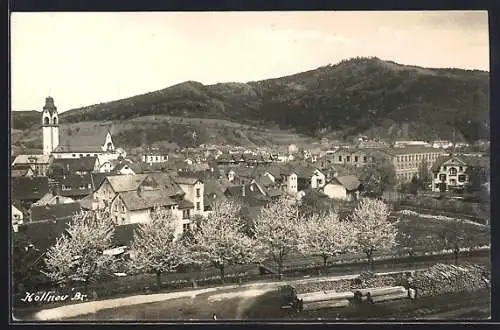 AK Kollnau /Br., Ortsansicht im Frühling