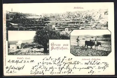 AK Bethlehem, Rahel`s Grab, Ackernde Fellachen, Blick auf die Stadt