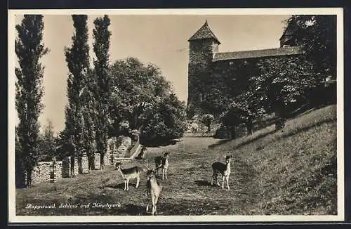 AK Rapperswil, Schloss mit Partie im Hirschpark