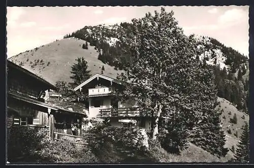 AK Berghütte Kessel-Alm, Ansicht gegen den Schweinsberg