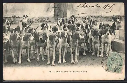 AK Meute de Mme la Duchesse d`Uzès