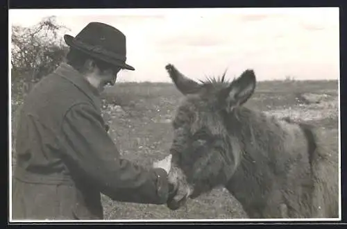 Foto-AK Wien, Bisamberg, Dame mit Hut streichelt einen Esel, 1942