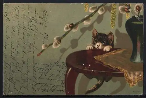 Lithographie Kleine Katze hängt an einem Tisch mit einem Weidenkätzchen-Strauss