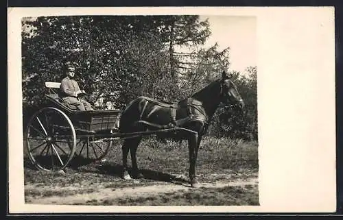 Foto-AK Soldat in einem Einspänner, 1916