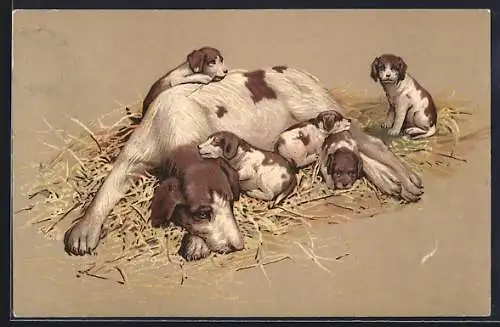 Lithographie Hundemutter mit Welpen im Stroh