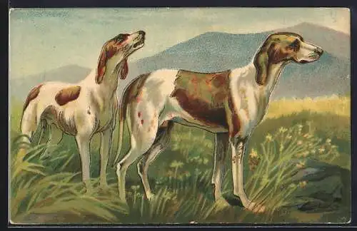 Lithographie Zwei Jagdhunde auf einer Wiese in den Bergen