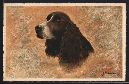 Lithographie Ein Cockerspaniel, Portrait