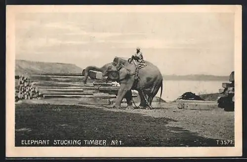 AK Elephant Stucking Timber