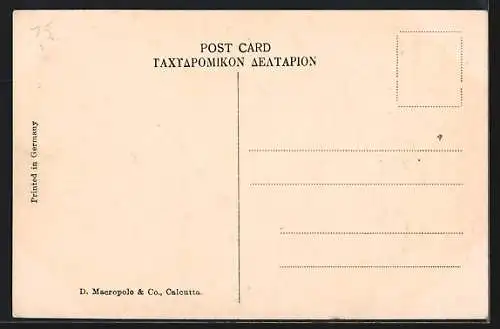 AK Elephant Stucking Timber