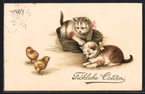 Lithographie Zwei Katzen beäugen zwei Küken, Ostergruss