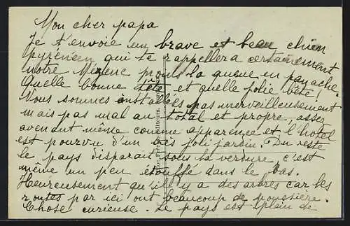 AK Chien des Pyrénées pur Gazost 1er, Pyrenäenberghund