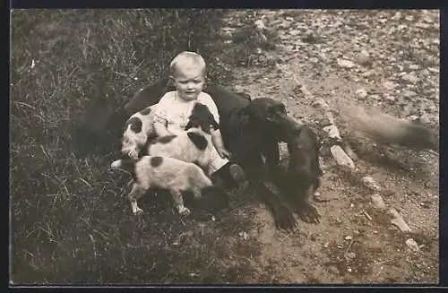 Foto-AK Greinendes Kleinkind mit Jagdhund und Welpen am Wegesrand