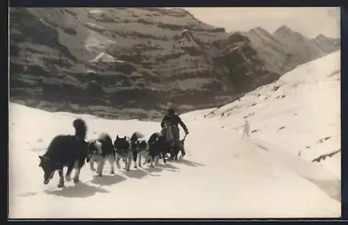 AK Polarhunde der Jungfraubahn