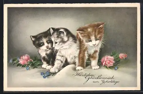 AK Beste Geburtstagswünsche mit niedlichen Katzen