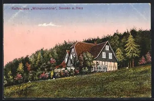 AK Seesen a. Harz, Cafe Wilhelmshöhe