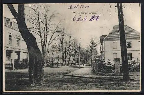 AK Arolsen, Wetterburgerstrasse mit Bäumen