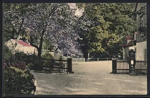 AK Dresden /Dresdner Heide, Fischhaus im König Albert-Park