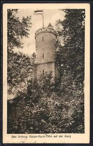 AK Bad Driburg, Kaiser-Karls-Turm auf der Iburg