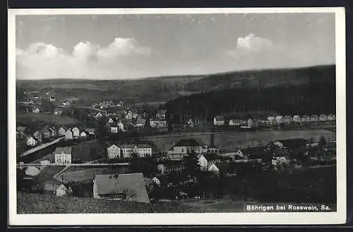 AK Böhrigen bei Rosswein, Generalansicht der Ortschaft