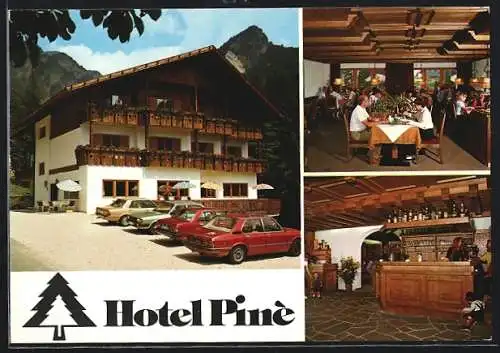 AK Tiers /Weislahnbad, Hotel Piné