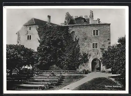 AK Habsburg, Blick auf das Schloss