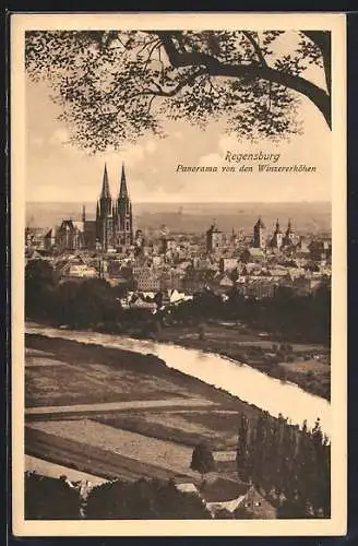 AK Regensburg, Panorama von den Winzererhöhen