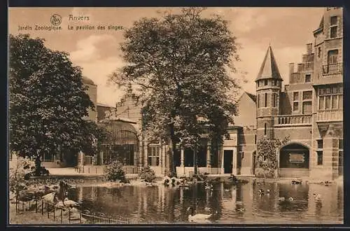 AK Anvers, Jardin Zoologique, Le Pavillon des Singes