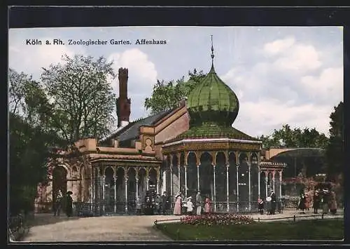 AK Köln a. Rh., Zoologischer Garten, Affenhaus