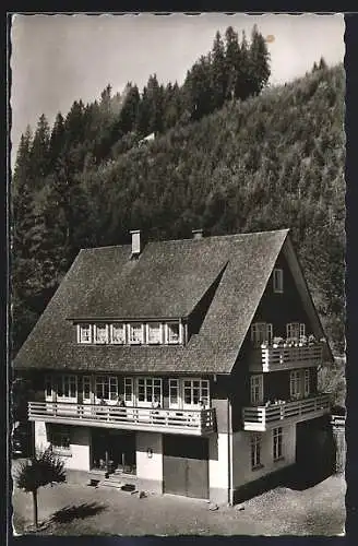 AK Titisee /Schwarzwald, Pension Haus Hirschbühl