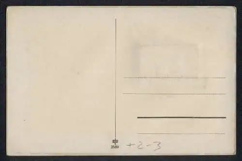 Leporello-AK Rüdesheim am Rhein, Ansichten im Briefkasten, Ortsansicht, Assmannshausen, Burg Rheinstein