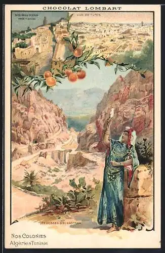 Lithographie Les Gorges d`El-Kantara, Sidi Bou Medin, Vue de Tunis, Tourismus