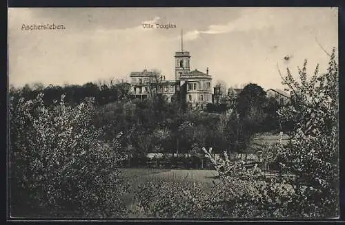 AK Aschersleben, Blick zur Villa Douglas