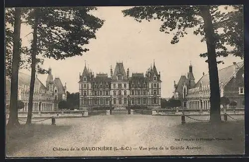 AK Gaudinière, Le Château, Vue prise de la Grande Avenue