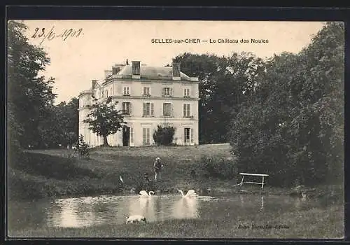 AK Selles-sur-Cher, Le Château des Nouies avec étang et cygnes