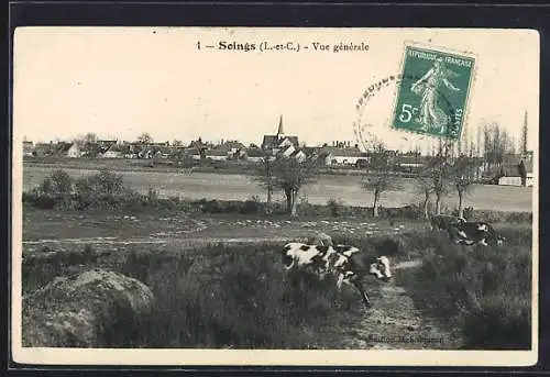 AK Soings, Vue générale du village avec des vaches au premier plan