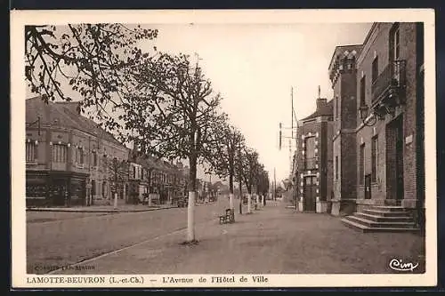 AK Lamotte-Beuvron, L`Avenue de l`Hôtel de Ville