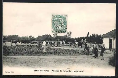 AK Selles-sur-Cher, Annexe de remonte, L`abreuvoir