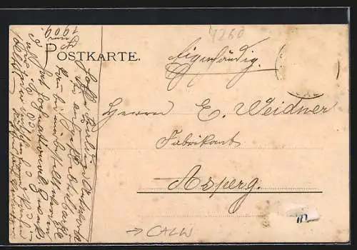 AK Calw, Ortspartie, Engel, Kuh