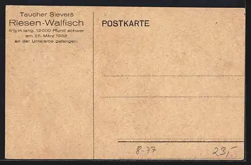 AK Riesen-Walfisch gefangen an der Unterelbe 1932