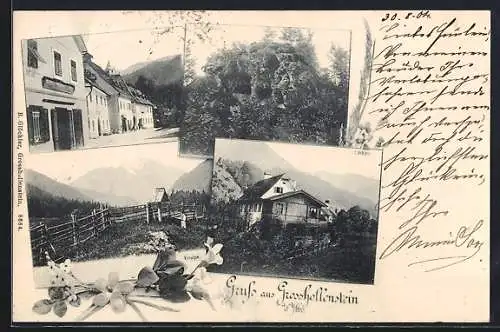 AK Grosshollenstein a. d. Ybbs, Gasthaus, Berglandschaft und Loibau