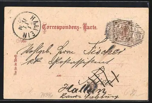 Lithographie Braunau am Inn, Palm Denkmal, Stadthaus, Stadtplatz