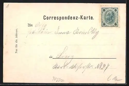 AK Braunau am Inn, Linzerstrasse, Partie mit Geschäften