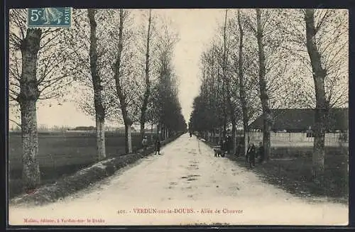 AK Verdun-sur-le-Doubs, Allée de Chauvor