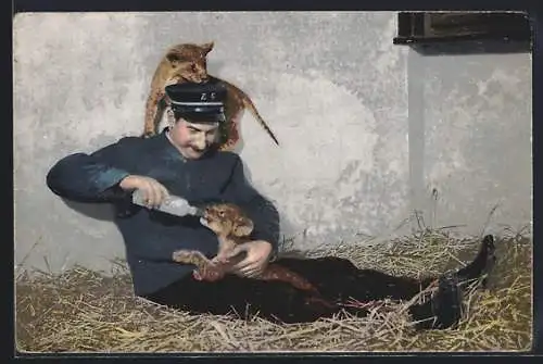 AK Basel, Zoologischer Garten, Zoowärter füttert junge Löwen