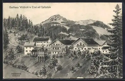 Künstler-AK Wildbichl /Tirol, Gasthaus Wildbichl mit Spitzstein