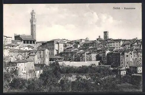 AK Siena, Panorama