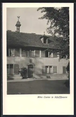 AK Schaffhausen, Ortspartie mit Altes Casino und Gingkobaum, An der Steigstrasse